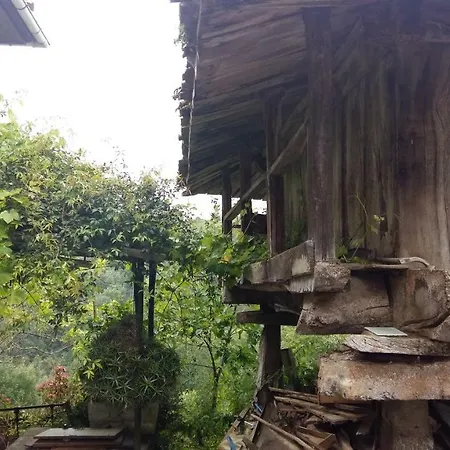 El Requexu De Ferienhaus Cervera (Asturias)