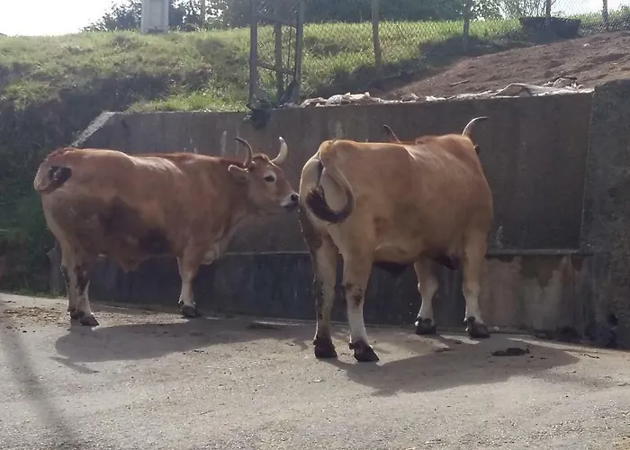 El Requexu De Holiday home