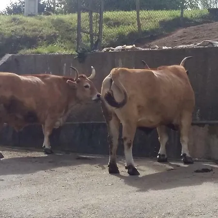 El Requexu De Prázdninový dům